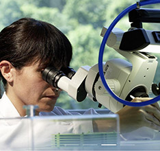 浪琴手表全面保養(yǎng)(圖)